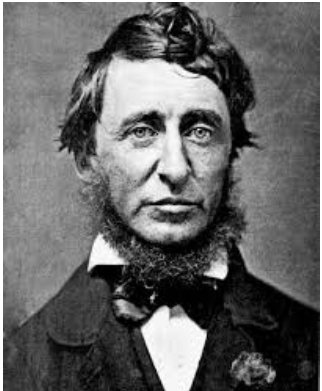 Thoreau